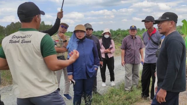 Tak Kenal Waktu Libur, Kabadan PPSDMP Temukan Solusi Perluasan Areal Tanam Di Barito Kuala