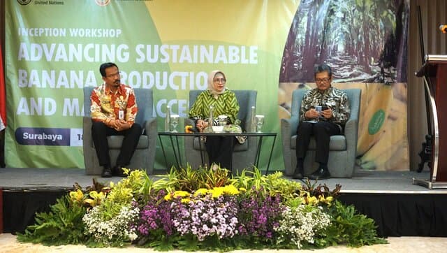 Pisang Mas Kirana Jadi Perhatian Utama FAO dalam Program OCOP