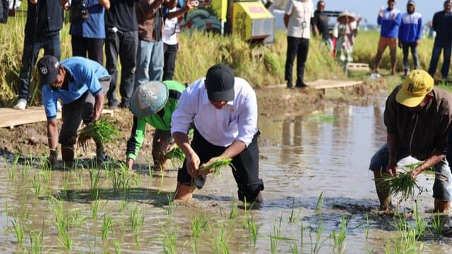 Lomba Unik, Mentan Adu Cepat Tanam Lawan Petani Gowa