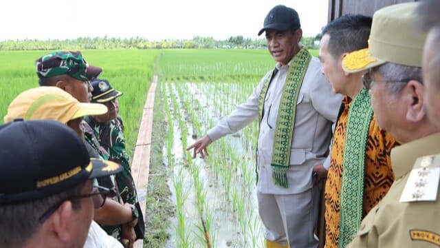 Potensi Oplah 240.000 Ha di Kalbar, Mentan Amran Yakin Swasembada Pangan dan Ekspor Jadi Kenyataan