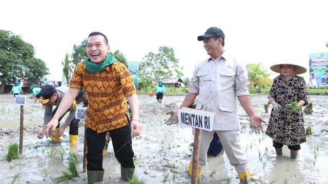 Komisi IV DPR: Mentan Amran, Kunci di Balik Kebangkitan Jeruk Sambas