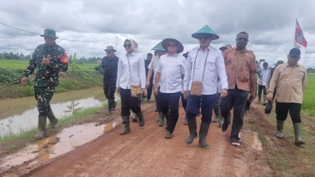 Warga Merauke Mulai Tanam di Sawah Baru, Optimisme Kesejahteraan Meningkat