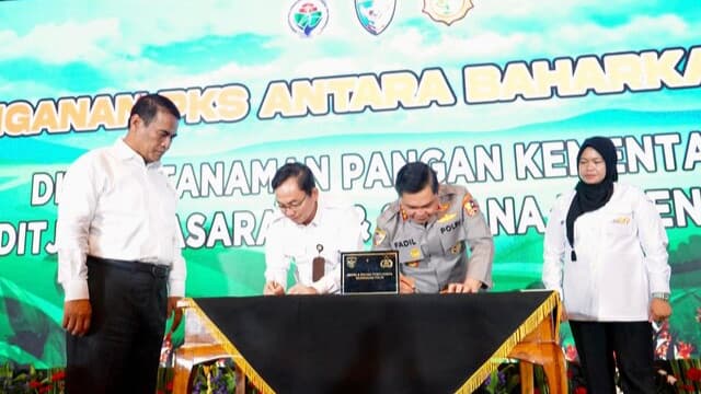 Kementan Optimis Capaian Swasembada Dibawah Komando Presiden Prabowo Segera Terwujud