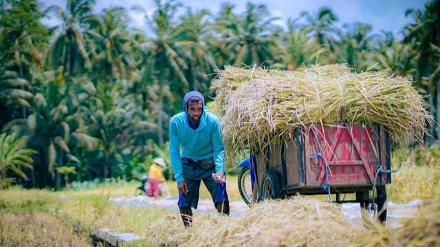 BPS: Produksi Beras Januari – April Tertinggi Selama 7 Tahun, ASEM