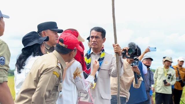 Petani Berteriak, Gabah Dibeli di Bawah HPP! Pimwil BULOG Kalsel Dicopot