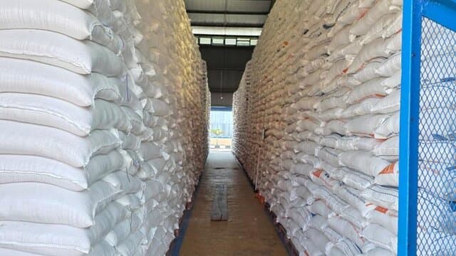 Stok Cadangan Beras Pemerintah Tembus 3,7 Juta Ton, Indonesia Terdepan di ASEAN dalam Produksi Beras