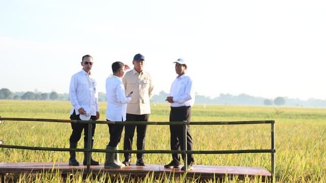 Stok Cadangan Beras Pemerintah Capai 4 Juta Ton, Indonesia Siap Perkuat Posisi di Pangan Global
