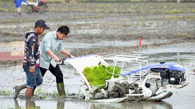 Wapres Gibran dan Mentan Amran Kompak Tanam Padi di Ngawi, Dorong Produksi dan Dukung Kebutuhan Petani
