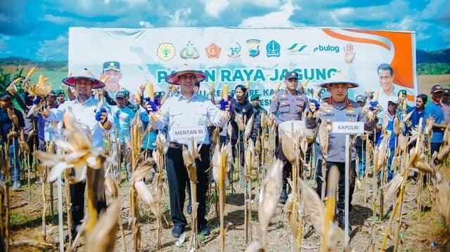 Mentan Amran: Kabar Gembira, Petani Jagung Dapat Dukungan 5 Triliun dari Presiden