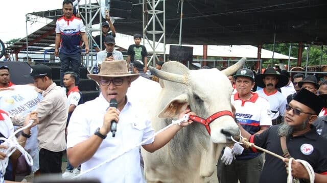 Segini Bobot 4 Sapi Jumbo Sumbangan Wamentan Sudaryono di Expo Sapi Boyolali