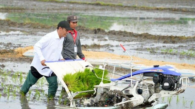Rice Transplanter: Inovasi untuk Efisiensi dan Produktivitas Pertanian Padi