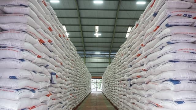 Produksi Beras Nasional Januari–Juli 2025 Tembus 21,76 Juta Ton, Naik 14,49 Persen