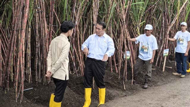 Mentan Tegaskan Komitmen Pemerintah untuk Petani Tebu di Hadapan Wapres