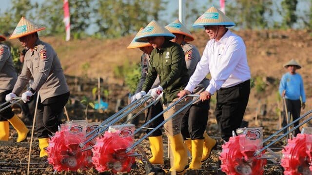 Tanam Jagung Serentak Bersama POLRI, Mentan Amran: Bukti Sinergi Pemerintah untuk Sektor Pertanian