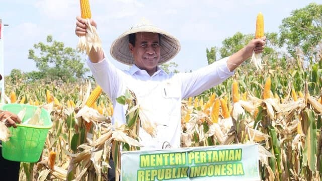 Panen Raya Jagung Serentak Jadi Momentum Percepatan Swasembada Pangan