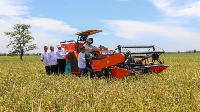 Harga Beras Turun di Semua Segmen, Dua Bulan Berturut-turut Terjadi Deflasi