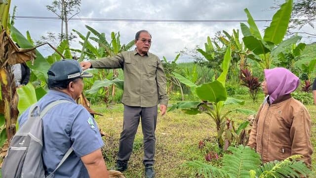 Sosialisasi dan Monitoring HDDAP di Desa Pakel Dorong Pengembangan Pisang Mas Kirana Berkelanjutan