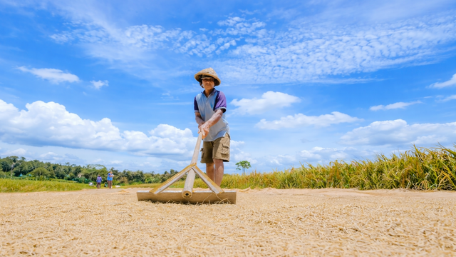 Mentan Amran Rapat Hari Minggu Antisipasi Kekeringan dan Ketegangan Geopolitik