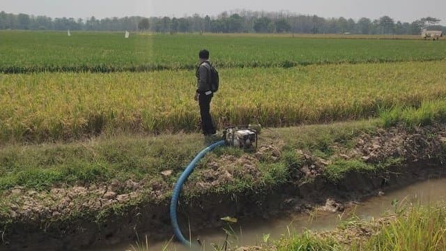 Potensi Kekeringan Menguat, Kementan Dorong Optimalisasi Pompa Air