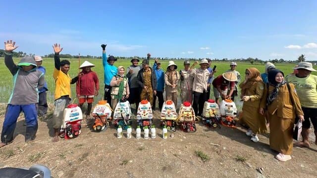 Kementan Gaspol Tangani Hama Padi di Pinrang, 5.000 Hektare Diselamatkan