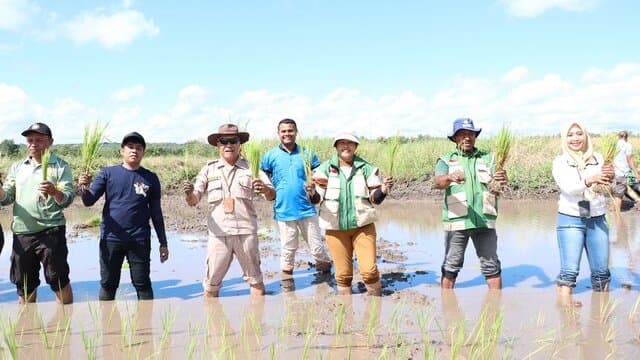 Tanam Serentak di Jambi, Kementan Percepat Optimalisasi Lahan CSR