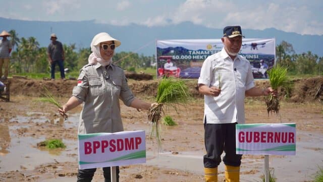 Pacu Produksi Nasional, Kementan Tanam Padi Serempak di 25 Provinsi