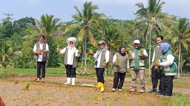 Mitigasi El Nino, Kementan Masifkan Pendampingan Swasembada Pangan Berkelanjutan di Sukabumi