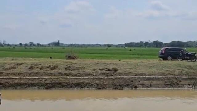 Hadapi Tantangan Iklim, Kementan Andalkan Pompanisasi untuk Kejar Tanam di Sukoharjo