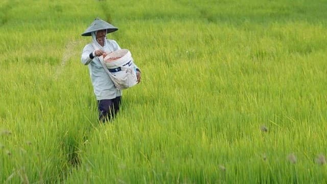 Hari Terakhir Pemutakhiran e-RDKK, Kementan Dorong Petani Tak Lewatkan Kesempatan Dapatkan Pupuk Subsidi