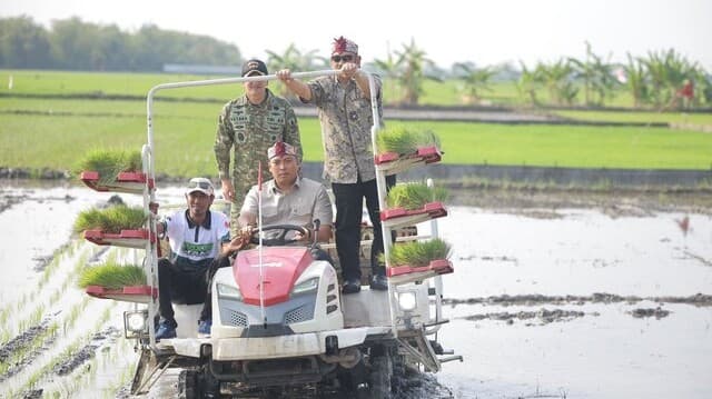 Stok Beras RI Tembus 28 Juta Ton, Wamentan Sudaryono Kebut Tanam 750 Hektar Padi di Lamongan Hadapi El Nino