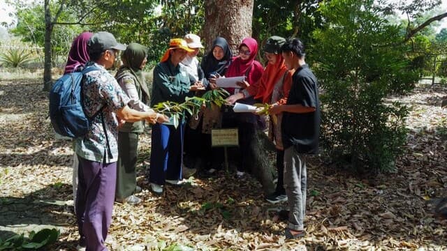 Kementan Gelar Bimtek Dorong Percepatan Pendaftaran Varietas Durian Lokal Bangka Belitung