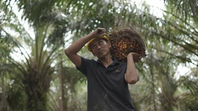 Komisi IV DPR RI Apresiasi Kementan Jaga Swasembada, Dorong Penguatan Anggaran Pertanian 2027