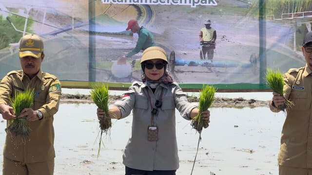 Perkuat Produksi Nasional, Kementan Dorong Peningkatan Indeks Pertanaman di Lahan Oplah dan CSR