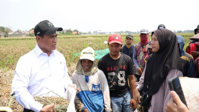 Dua Tahun Prabowo-Gibran, Emrus: Mentan Amran Satu-satunya Menteri Berkinerja Terbaik