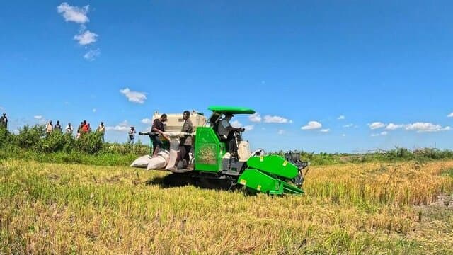 Kesejahteraan Petani Terus Menguat, NTP September 2026 Tembus 131,11