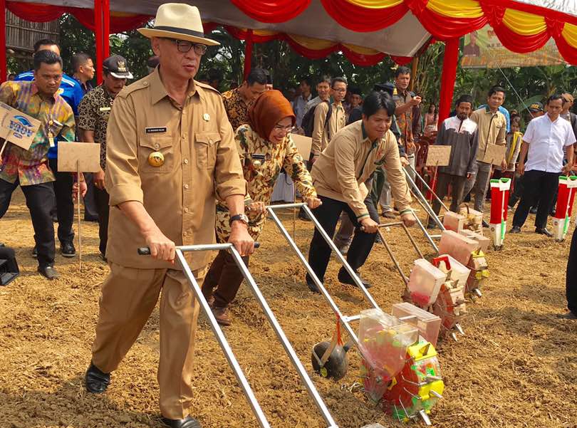 Gubernur Banten Dukung Program Gempita Kementan Wujudkan Swasembada Jagung