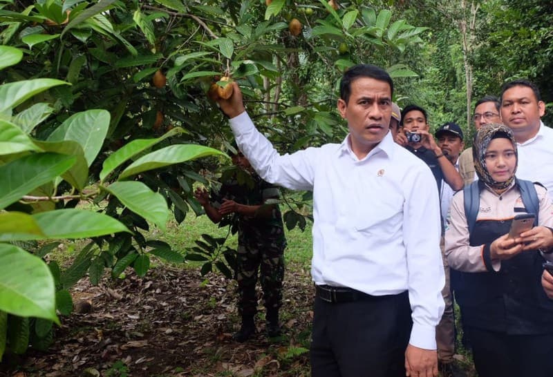 Genjot Ekspor Komoditas Unggulan, Mentan Kunjungi Pulau Terluar Sulawesi