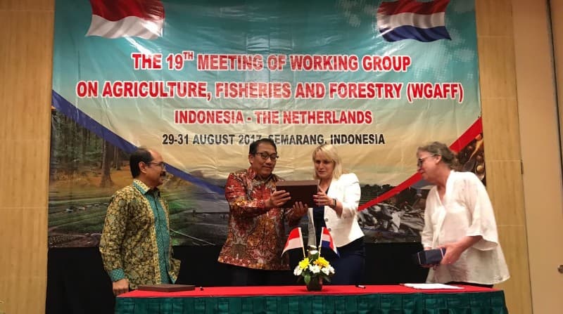 Belanda Tertarik Dengan Model Pengambangan Bawang Merah Indonesia