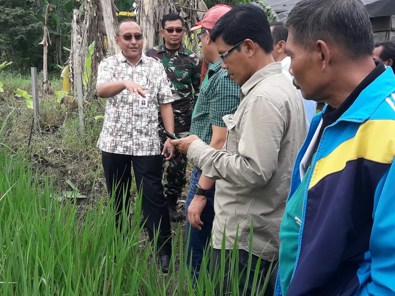 Mempercepat Optimalisasi Lahan Suboptimal di Sumatera Selatan