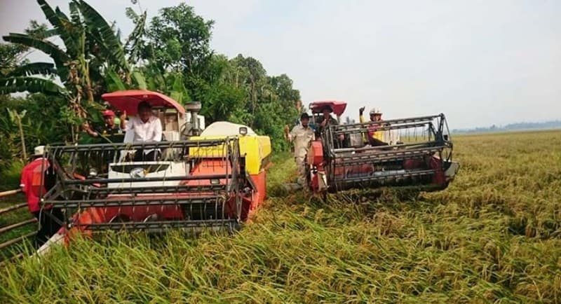 Tiga Tahun Era Jokowi Rumah Tangga Petani Miskin Menurun