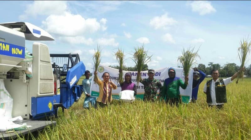 Petani Padi Desa Linonggasai Sulawesi Tenggara Menikmati Hasil Panen Saat Ini