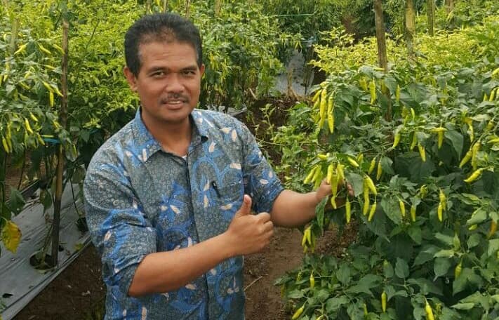 Dirjen Hortikultura Suwandi Pantau Produksi Cabai Pasok Jakarta Hingga Lebaran