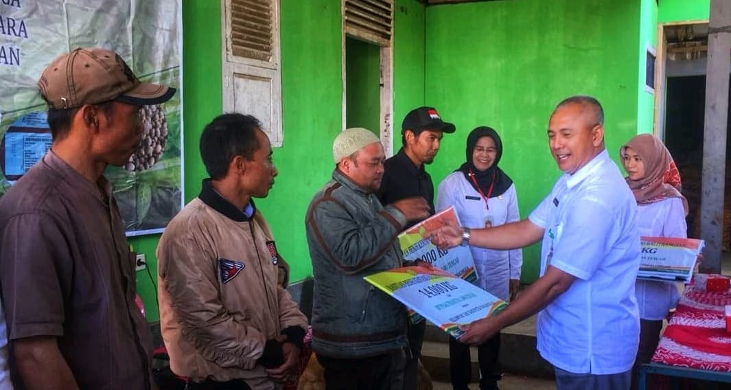Balitbangtan Bagikan 102 ton Benih Kentang ke 7 Kabupaten di Jawa Tengah