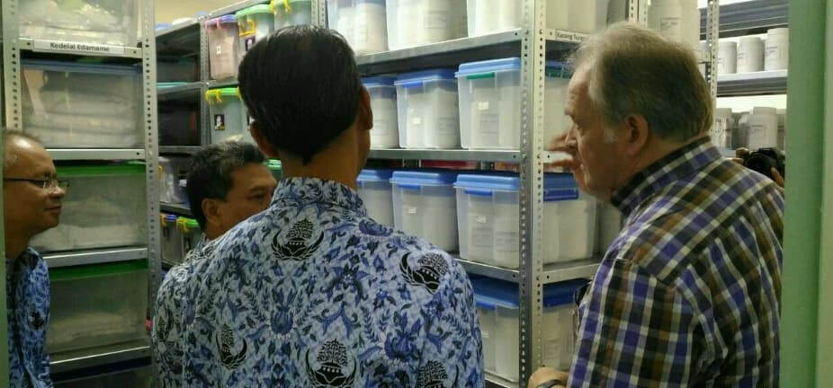 12.000 Aksesi Tanaman Pangan dan 1.400 Mikroba Ada di Bank Gen Indonesia