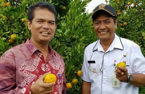 Kementan Dorong Pengembangan Cluster Kawasan Jeruk di Bali