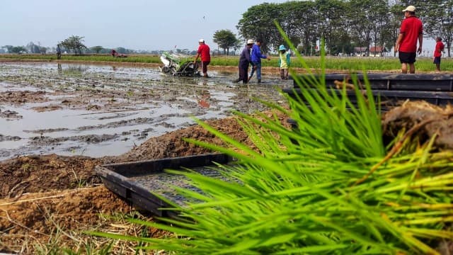 Kementan Kembangkan Pertanian Modern Berbasis Korporasi di Karawang