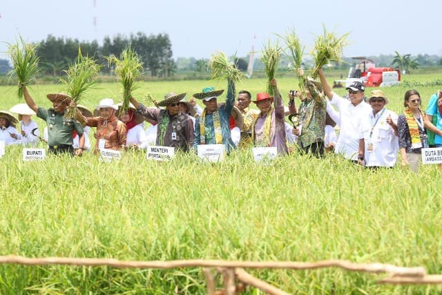 HPS Kalsel, FAO Apresiasi Kementan Jadikan Rawa Masa Depan Pertanian Indonesia