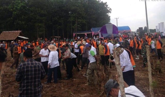 BPTP Banten Lakukan Demfarm Mendukung Pilot Project Pengembangan Kawasan Jagung 1000 Ha di Kab. Lebak