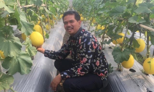 Kementan Dorong Petani Muda Kembangkan Hortikultura di Pinggir Bandara Soetta
