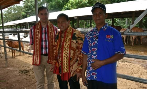 Upsus SIWAB Melahirkan 17.663 Ekor Sapi di Lampung Selatan